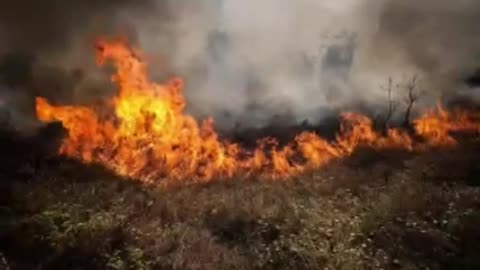 32 forest fires in Portugal in one day, the country will enter a state of emergency