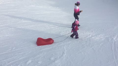 Walking My Toboggan