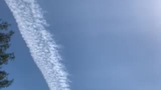 Chemtrails in N CA