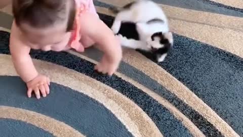 🐈 CAT TRENING WITH KIDS🐈