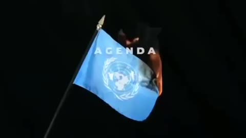 The agenda 21