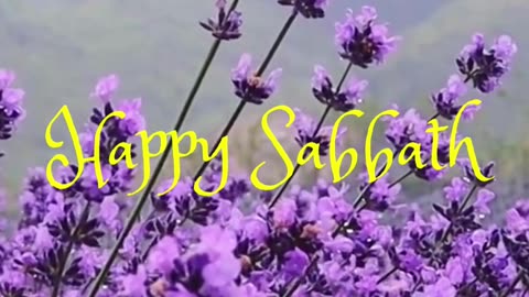 The Sabbath Is a Golden Clasp That Unites God and His People - Maranatha P. 244