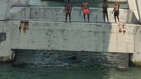 Dog Surfing Behind a Boat in Mexico