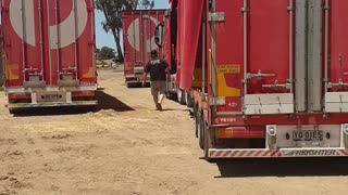 Donated Trucks Loaded to Haul Hay Donations