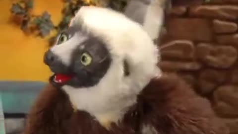 [YTP] Zoboomafoo is a Sexually Active Teenager