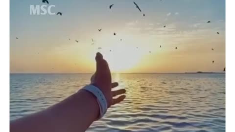 😇Morning with Beautiful Sunset🌄 Romantic Hindi Song😘