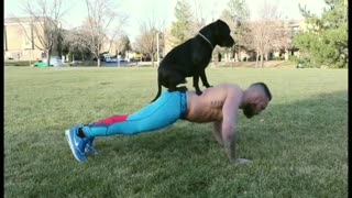 Jugador profesional de la MMA entrena con la ayuda de su perro