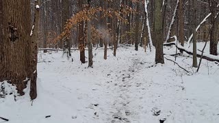 4k hd first snowfall in michigan.