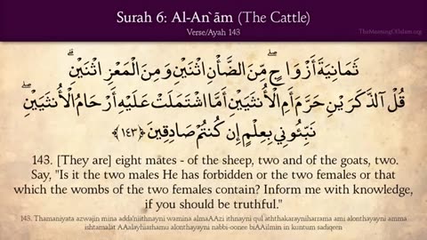 Quran: 6. Surah Al-An'am (The Cattle): Arabic and English translation HD 6 / 114