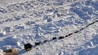 Canadian children make their own convoy for freedom