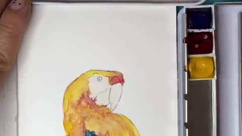 DIY Parrot Painting