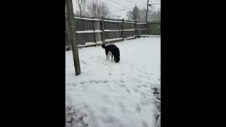 just playing in snow