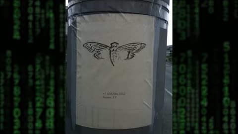 TRUE Story "The Man that WORKED For CICADA 3301" Anonymous Man's Eerie Story