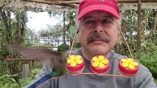 Ecuador 2022 Hummingbird Hat Feeder