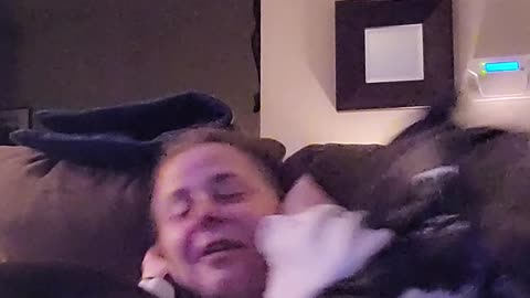 Attacked by kisses! Is this love or what? Hysterical dogs!