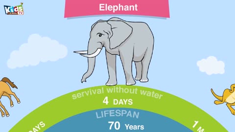 Life span of animals - Longest lifespan animals -Lifespan of animals and survive without water