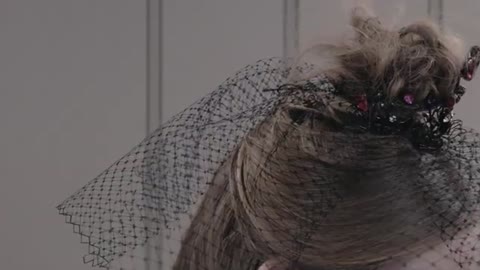 Rodarte's Fall 2020 Makeup Look Was Inspired By 'Bram Stoker's Dracula' Making It WWD