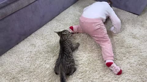 What Does a Kitten do When a Baby Dances Funny Video