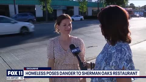 Sherman Oaks restaurant says homeless in area posing danger to business