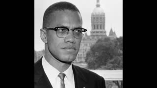 Malcolm X on the Liberal and Conservative Political Establishment