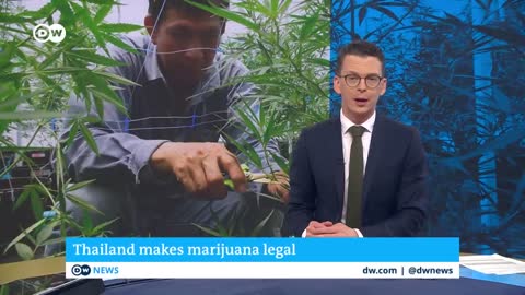 Thailand becomes the first Asian country to partially legalize Marijuana | DW News