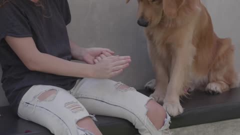 Woman Training a Dog