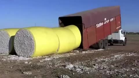 The Best intelligent truck driver Ever