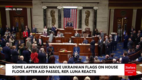 Some Lawmakers Waive Ukraine Flags On House Floor, Luna Tells Them To 'Put Those Damn Flags Away