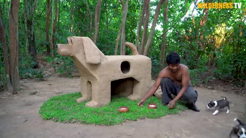 Build Mud Dog House For Rescued Puppies And Craft House