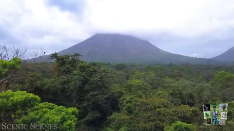 Costa Rica Jungle Beautiful Tropical Rainforest - Part 01