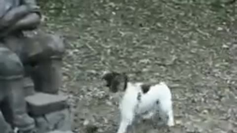 Dog barking at statue - Make fetch happen