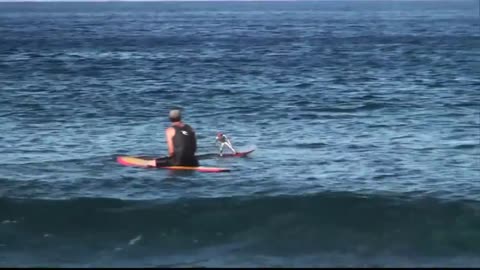 Surfer battles it out with remote controlled surfer