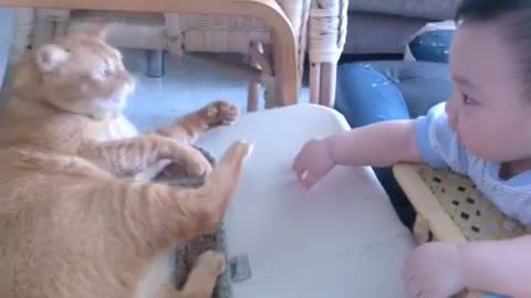 Baby cry when the cat starts to leave