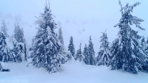Snow Winter 4K Relaxation Film