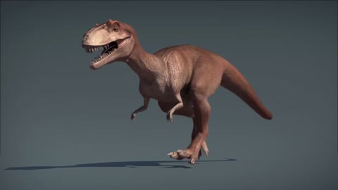 Dinosaur animal