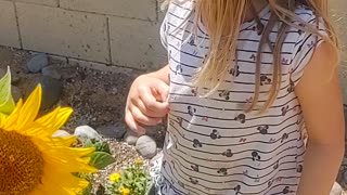 Princess garden sunflower vlog