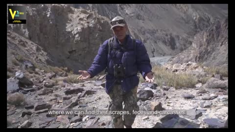 Secrets of the Snow Leopard: Hunting the High Mountain Ibex