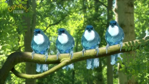 In The Night Garten - BLUE BIRDS SONG