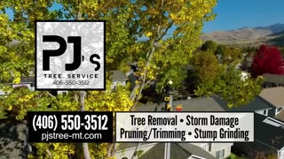 PJ's Tree Service