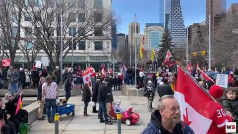 Calgary freedom rally protestors speak to the Western Standard at City Hall