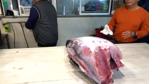 "Amazing Skill! Bigeye Tuna Cutting Master - How to Slice Bigeye Tuna for Sashimi"