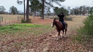 Tuesday Horse Therapy 12072021b