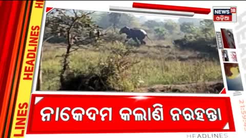 Top Headlines | Odisha News Today | Odia Latest News | Headlines | 8th Jan 2023 | Odia News