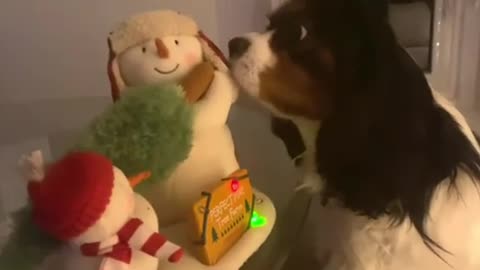 Newfie & Cavalier are tough critics of Christmas toys