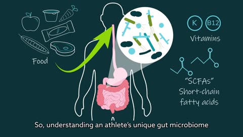 Fueling gut microbes: The interaction between diet, exercise, and the gut microbiota in athletes