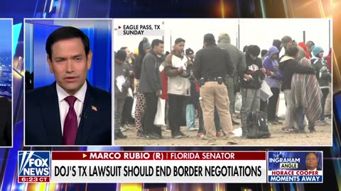 The laws have to be executed by the executive branch: Marco Rubio