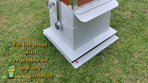 New Hive Stand with Moat for Langstroth Bee Hives