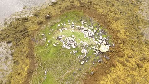 Drone View Of Swan On Its Nest