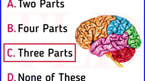 Unveiling Human Body Part Facts #generalknowledge