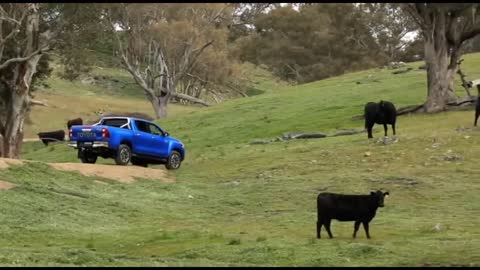 SUPER LUX CAR - TOYOTA HILUX REVO 2022 NEW VARIANTS